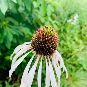 Meet your Posher, Valentina